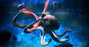 ذهن های دیگر