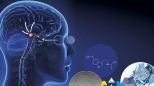 چه چیزهایی روی مقدار ملاتونین اثر میگذارن